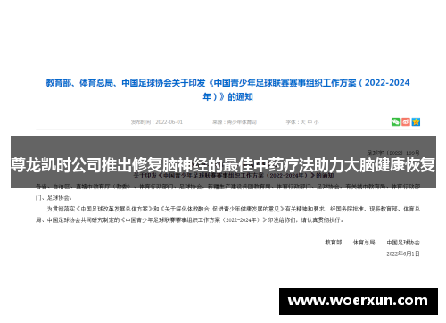 尊龙凯时公司推出修复脑神经的最佳中药疗法助力大脑健康恢复