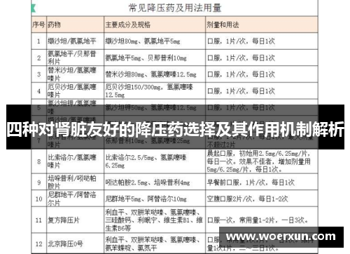 四种对肾脏友好的降压药选择及其作用机制解析