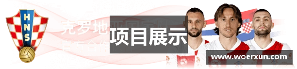 项目展示